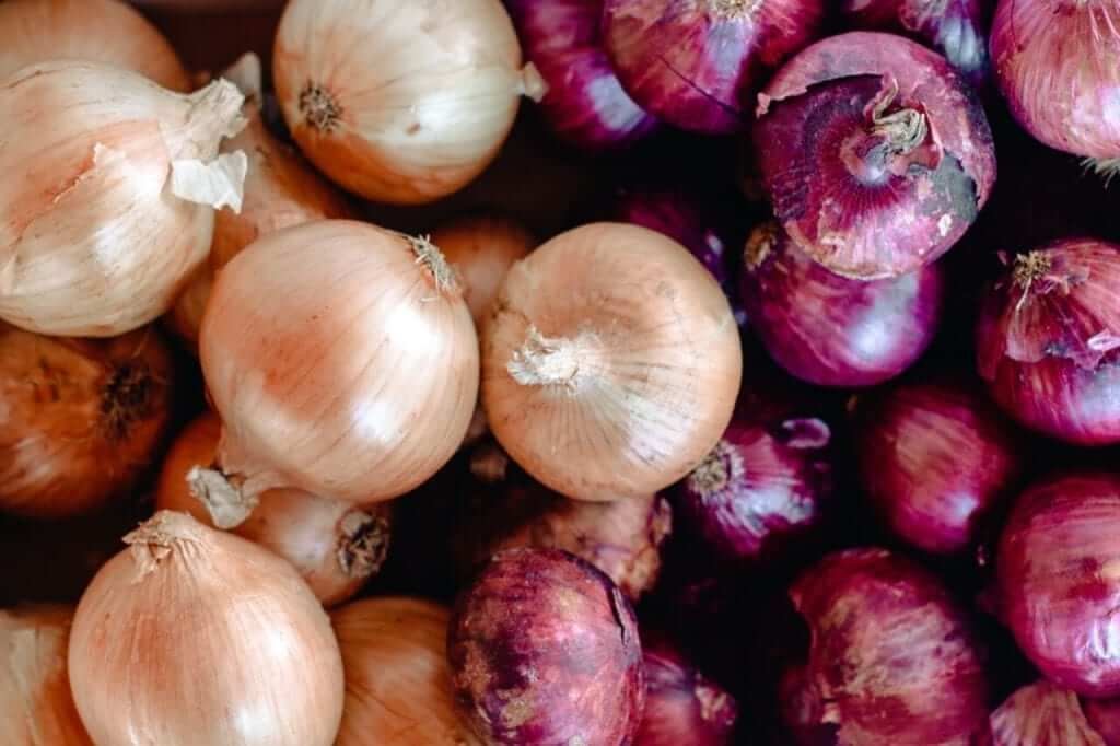 | Onions – a step-by-step growing guide | 1Garden.com