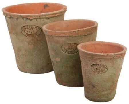 | Plant Pots! Everything you need to know: Creating new plant pots from old treasure and how to keep them overall healthy | 1Garden.com