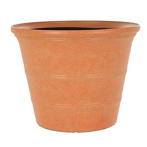 | Plant Pots! Everything you need to know: Creating new plant pots from old treasure and how to keep them overall healthy | 1Garden.com