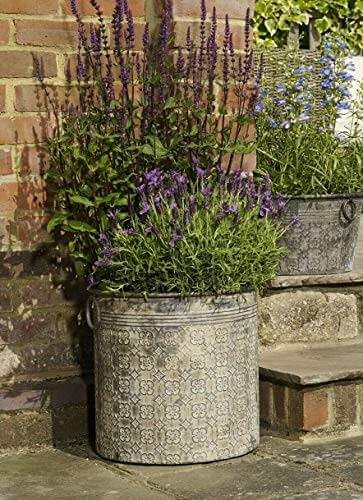 | Plant Pots! Everything you need to know: Creating new plant pots from old treasure and how to keep them overall healthy | 1Garden.com