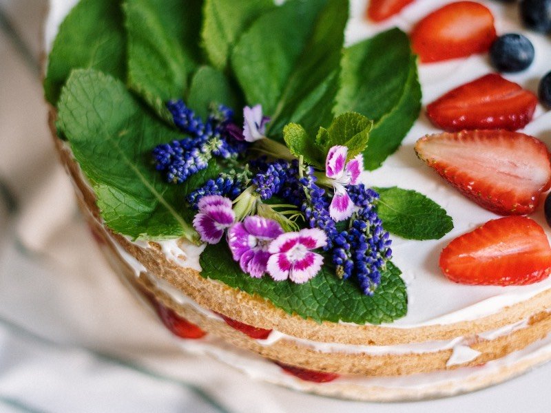 | Elderflower foraging: Five floral recipe ideas by Burleigh Pottery | 1Garden.com