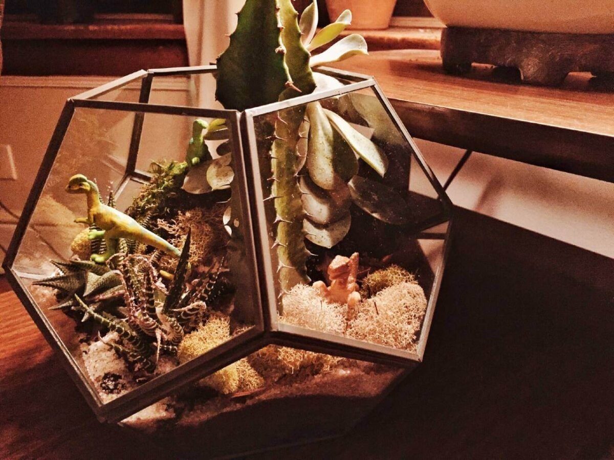 Terrariums in your home – How to create a Terrarium and step by step ...