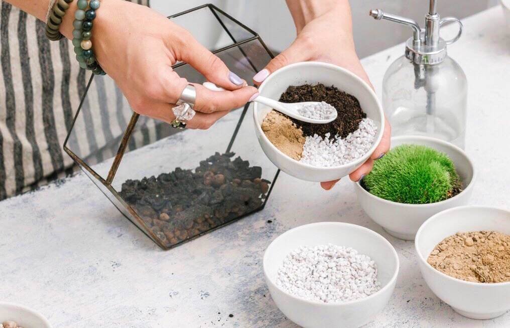 | Terrariums in your home – How to create a Terrarium and step by step guide | 1Garden.com