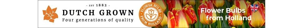 | Dutch Grown Discount Codes | 1Garden.com