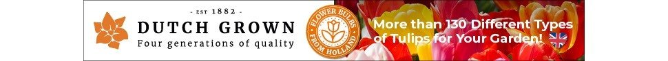 | Brighten Your Garden with Tulips: Shop a wide range of beautiful tulip bulbs | 1Garden.com