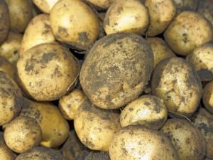 How to grow potatoes, Grow potatoes in the Uk, growing potatoes in the Uk, growing a healthy potato crop in the Uk, tips for growing potatoes in the UK, homegrown potatoes, potato grow bag, grow potatoes successfully, basics of growing potatoes in the UK, and different ways of growing potatoes.