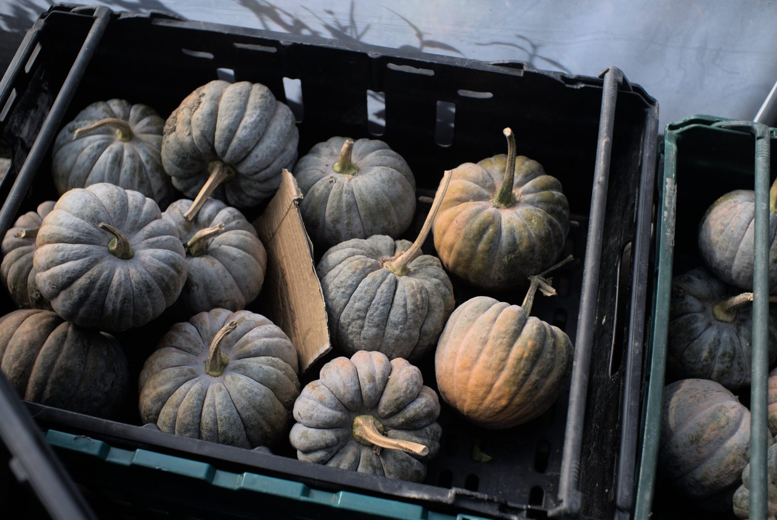 a crate full of pumpkins