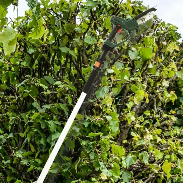 | Webb WEV20EXTPS 20v Cordless Pruning Saw 150mm with Extension Pole | 1Garden.com