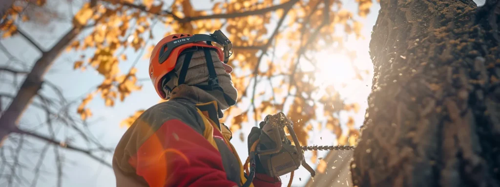 a person wearing protective gear, holding a chainsaw at the correct height with a wedge in place, ready to fell a tree, with a safety catcher nearby.