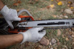 | Product Review - Einhell GH-EC 2040 Electric Chainsaw: Powerful and Reliable | 1Garden.com