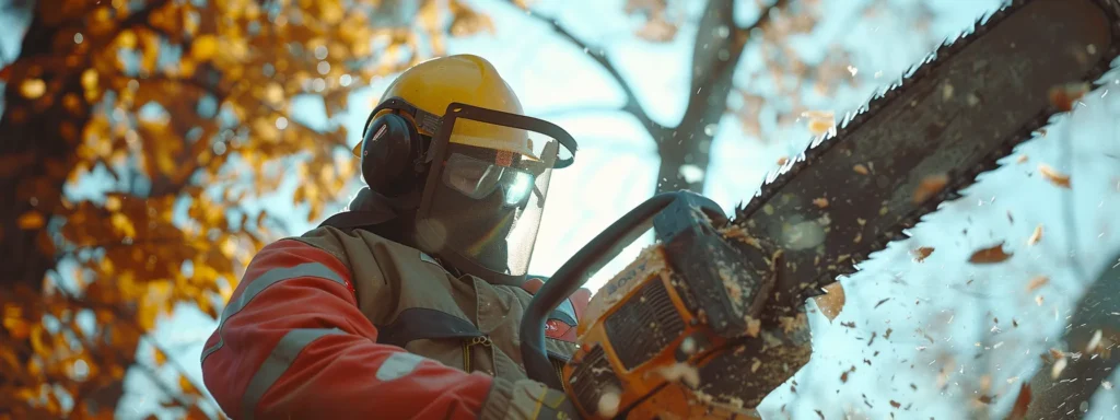 a worker donning protective gear, holding a well-maintained chainsaw ready for tree removal.