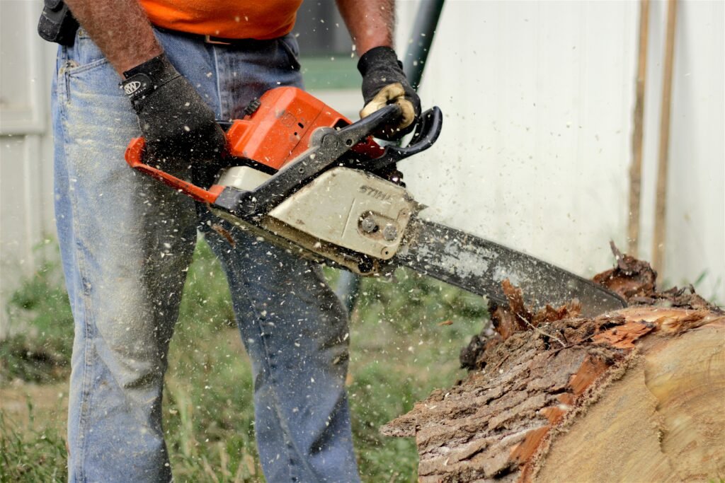 | Petrol vs Electric Chainsaws: Explore the Pros and Cons | 1Garden.com