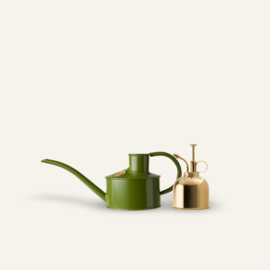 The Fazeley Flow - Houseplant Set - Fern Green & Brass - One Pint
