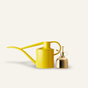 The Fazeley Flow - Houseplant Set - Lotus Yellow & Brass - Two Pint