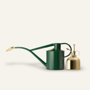The Rowley Ripple - Houseplant Set - Green & Brass - Two Pint