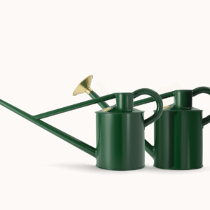 The Warley Fall & Bearwood Brook - Balanced Pair - One Gallon