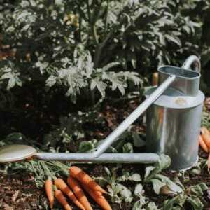 The Warley Fall HDG - Galvanised - Full Monty Kit - Two Gallon